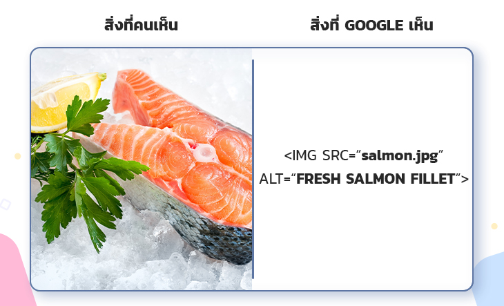 คนทั่วไปมองภาพประกอบเป็นรูปภาพ แต่ Google มองเห็นเป็น Code