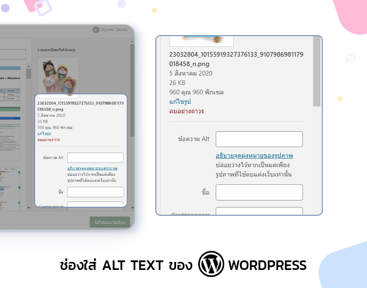 ช่องใส่ Alt Text ของ WordPress