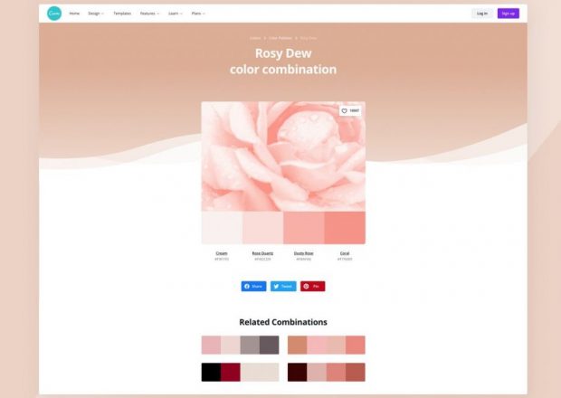 Color Pallete Website_MakeWebEasy_Jasa Pembuatan Website